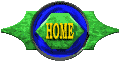 home button