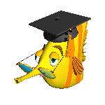 fish wearing glasses and grad cap