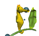 seahorse on kelp stem